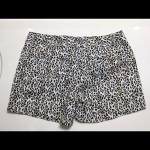 COPY - White House Black Market cheetah print sho…